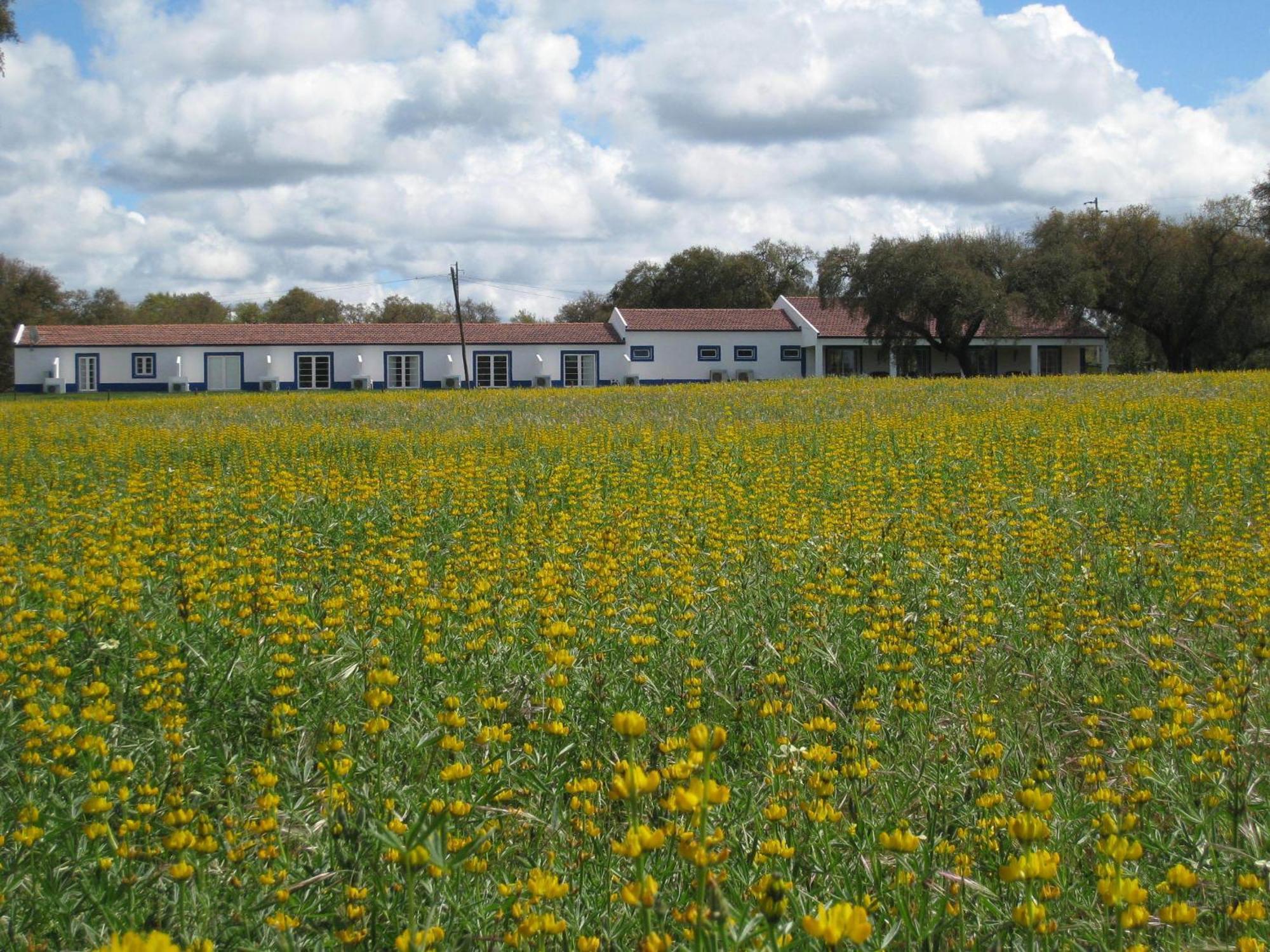 Monte Das Faias Cork Farm Hotel Grandola Exterior photo