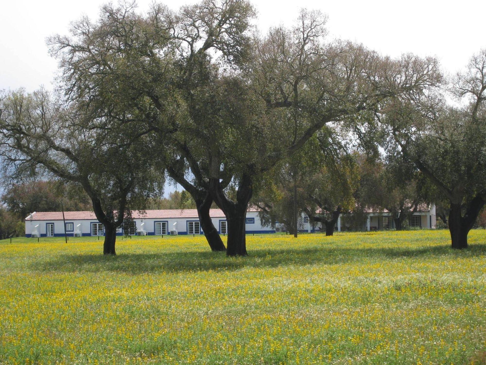 Monte Das Faias Cork Farm Hotel Grandola Exterior photo
